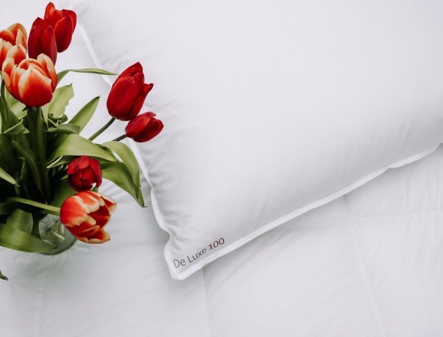 Bett & Schlafen