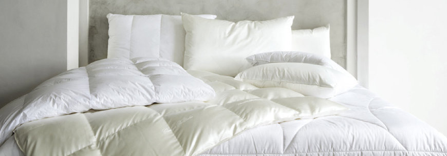 Silk and eiderdown pillows